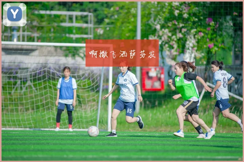 欧洲杯数据深度分析:球队实力与球员状态榜